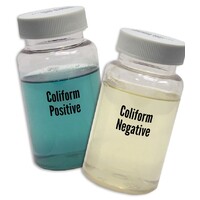 Bacteria (Coliforms) Test Mugs