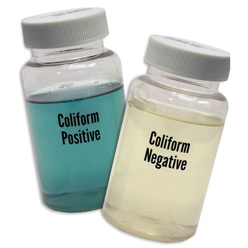 Bacteria (Coliforms) Test Mugs