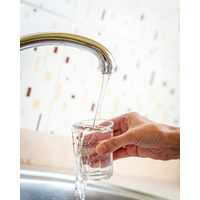 Home Water Testing